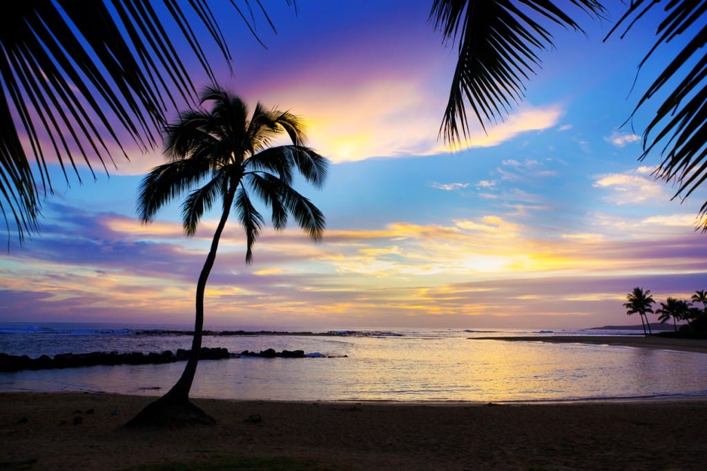 Hawaiian Vacation | The Early Airway