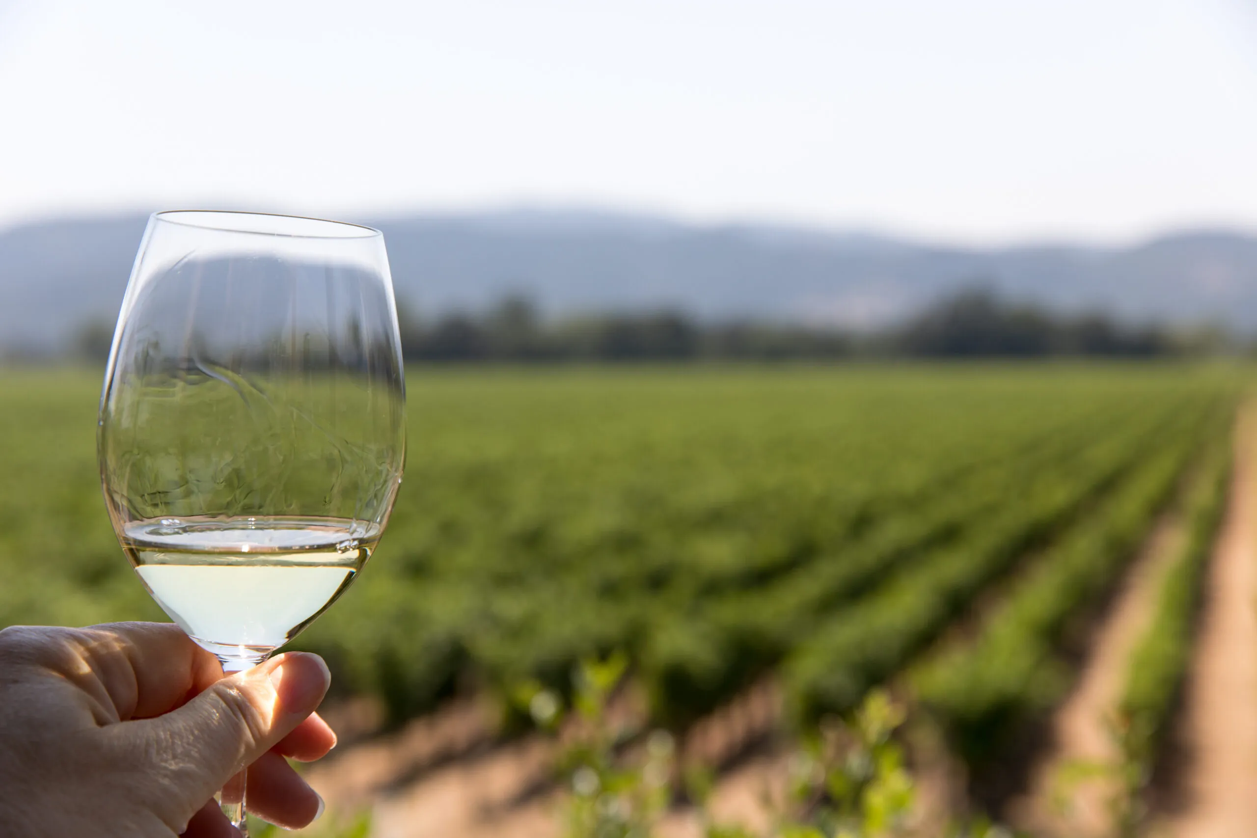 Private Jet To Napa Valley: Wine Country In Style - The Early Air Way