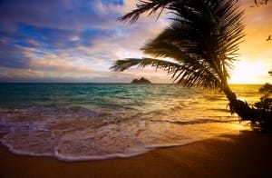 Say Aloha to an Exciting Hawaiian Vacation | The Early Air Way
