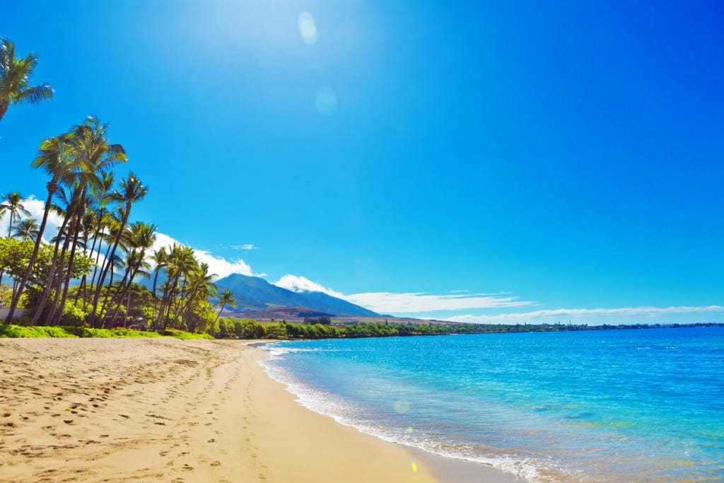 Hawaiian Beach 