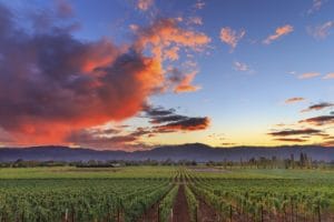 The Best Napa Valley Jet Charter | The Early Airway