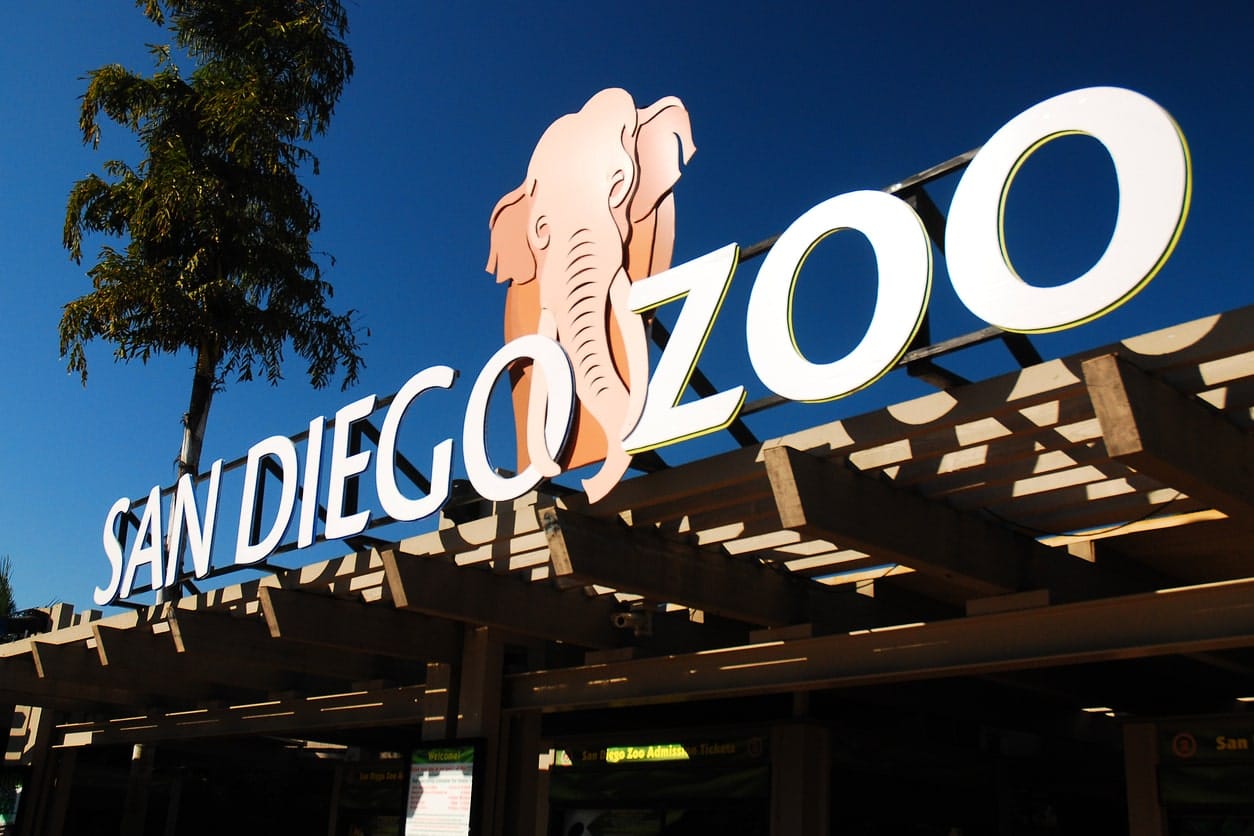 Zoo di San Diego - La via dell'aria antica