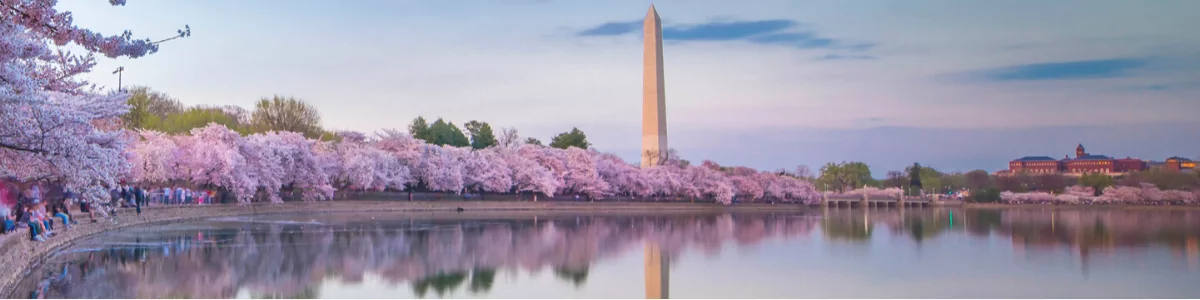 D.C. in Bloom - The Early Air Way