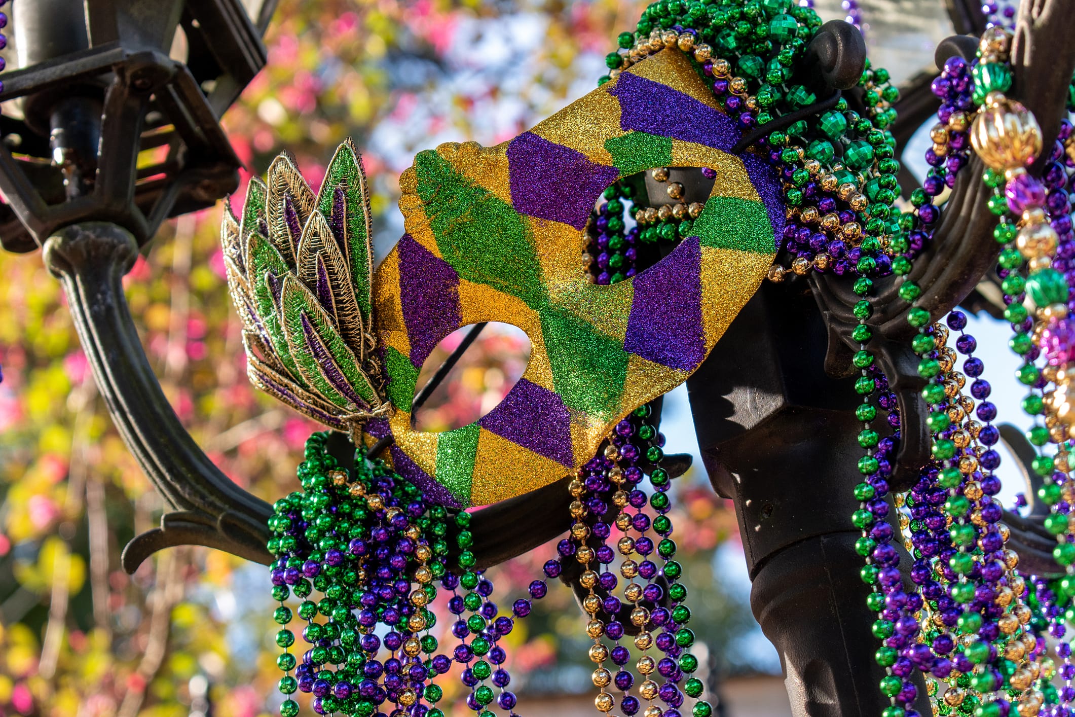 The Best Places To Celebrate Mardi Gras-The Early Air Way